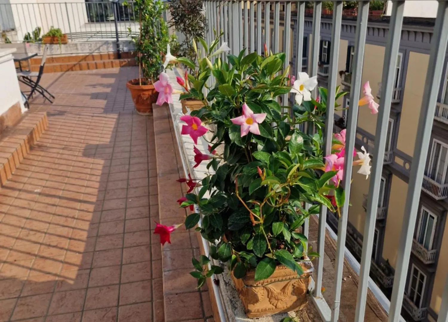 Hotel La terrazza delle fate Napoli Affittacamere